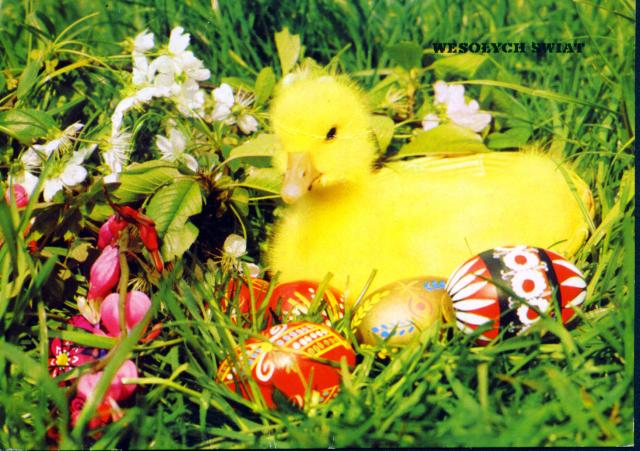 Maria Karaszewska - Easter Card _front_ 1977.jpg