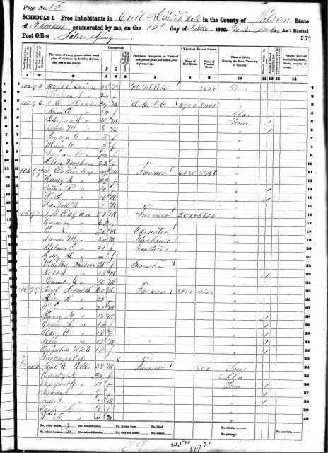 1860 Census - Ellis.jpg