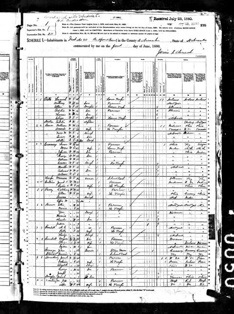 1880 Census - Cummings.jpg