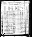1880 Census - Ellis Samuel Colwell.jpg