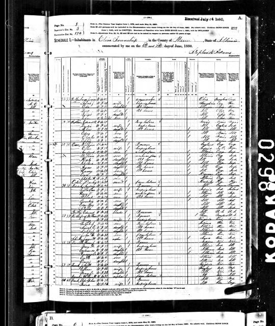 1880 Census - Leech _page 1_.jpg