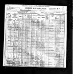 1900 Census - Martin Henry.jpg