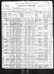 1900_Census_Janice.jpg