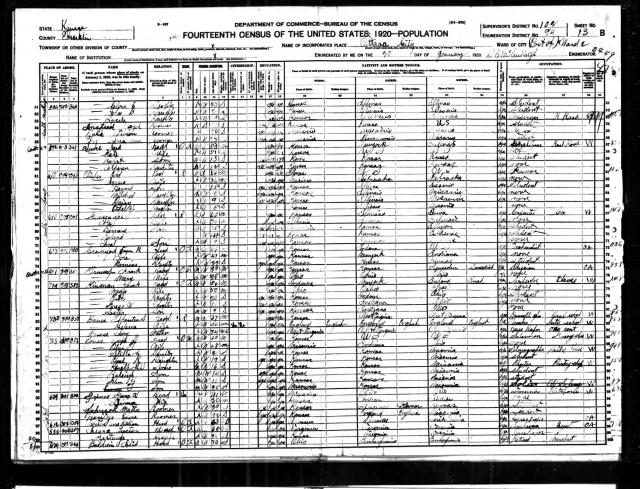 1920 Census - Ellis Temperance.jpg