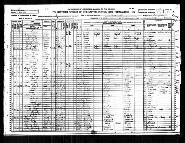 1920 Census - Martin Charles Henry.jpg