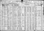 1920 Census - Mrozik.jpg