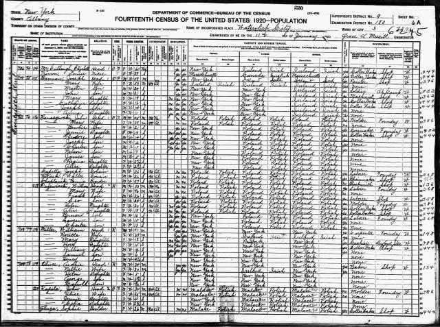 1920_Census_Drzewiecki.jpg