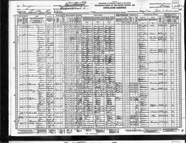 1930_Census_Rinaldo.jpg