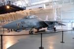 Grumman F14 Tomcat 2.JPG
