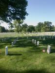 Arlington National Cemetery 2.jpg