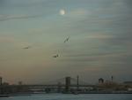 Brooklyn Bridge 5.jpg