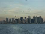 New York Skyline 12.jpg