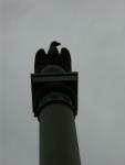 William McKinley Monument Closeup 2.jpg